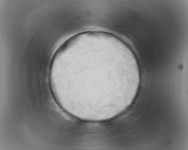 X0000112391231200909101403