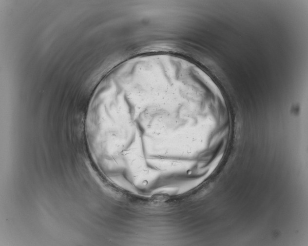 X0000112391233200909101403