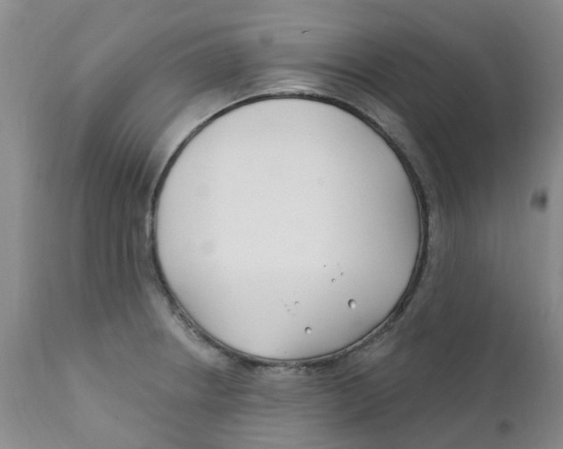 X0000112391234200909101403