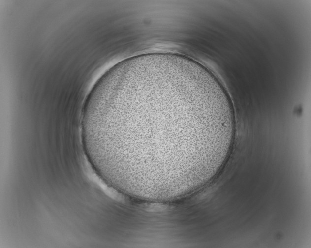 X0000112391235200909101403