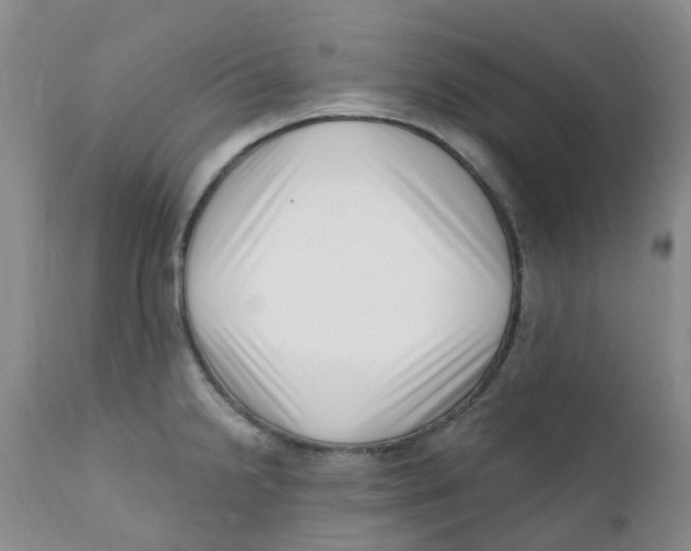 X0000112391238200909101403