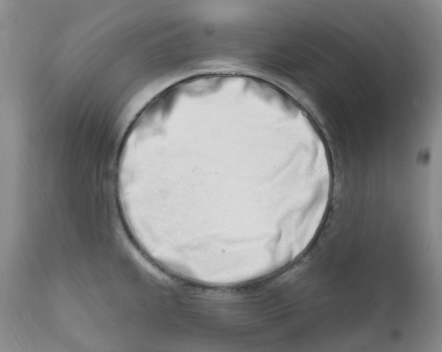 X0000112391239200909101403