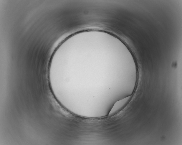 X0000112391240200909101403