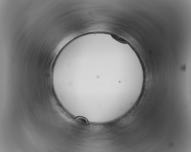 X0000112391242200909101403