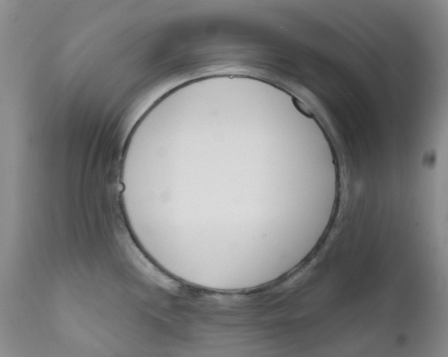X0000112391244200909101403