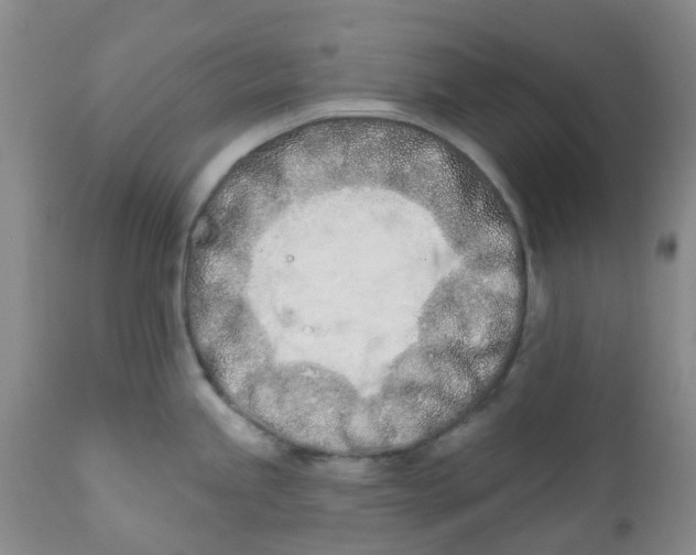 X0000112391245200909101403