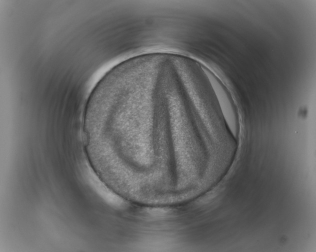 X0000112391246200909101403