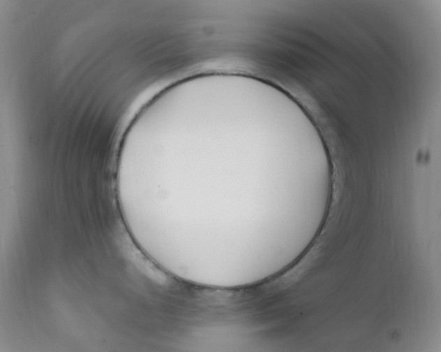 X0000112391248200909101403