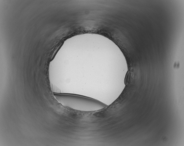 X0000112391249200909101402