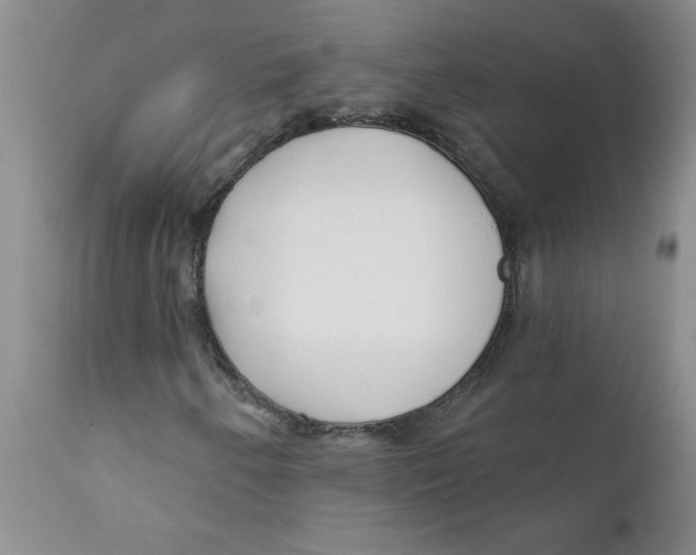 X0000112391250200909101402