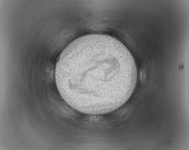 X0000112391251200909101402