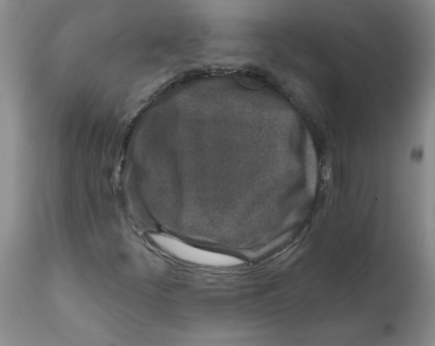 X0000112391252200909101402