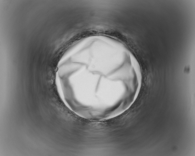 X0000112391253200909101402