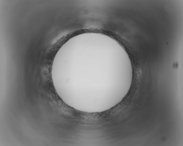 X0000112391254200909101402