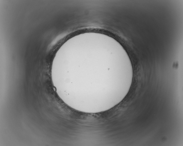 X0000112391255200909101402