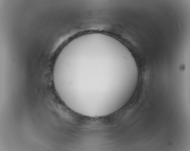 X0000112391256200909101402