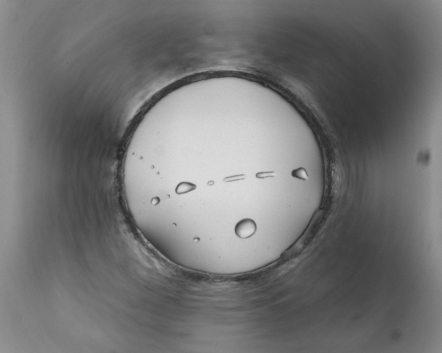 X0000112391260200909101402