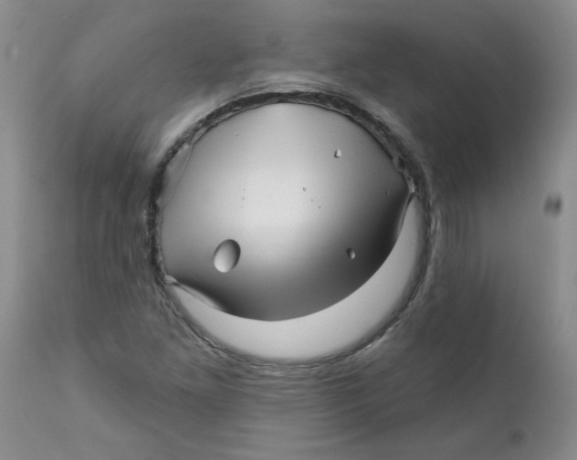 X0000112391261200909101402