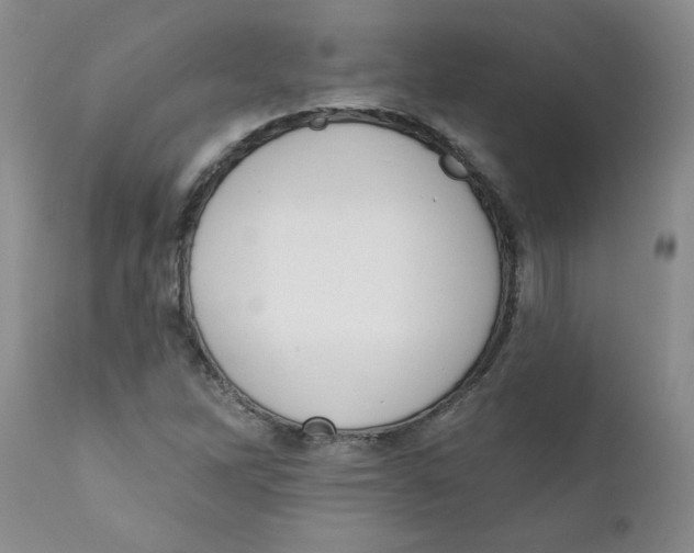 X0000112391262200909101402