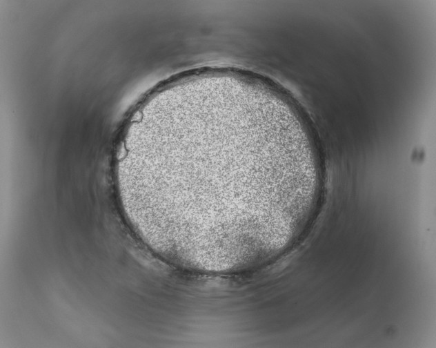 X0000112391263200909101402