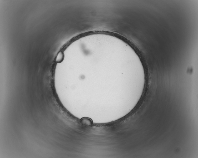 X0000112391264200909101402