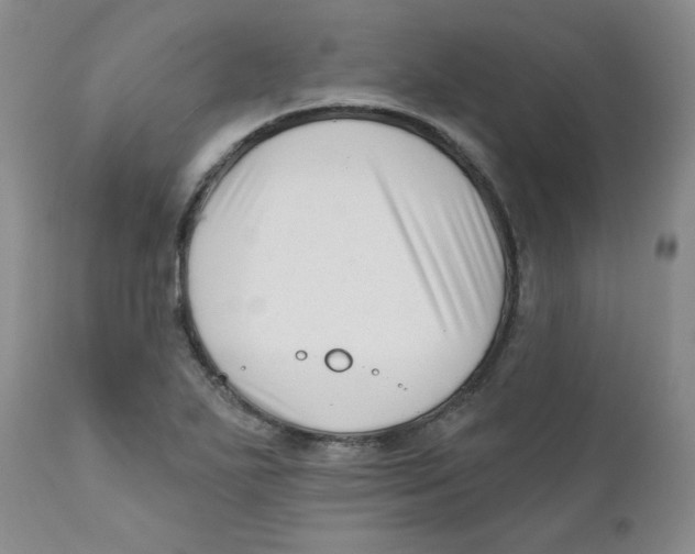 X0000112391271200909101402