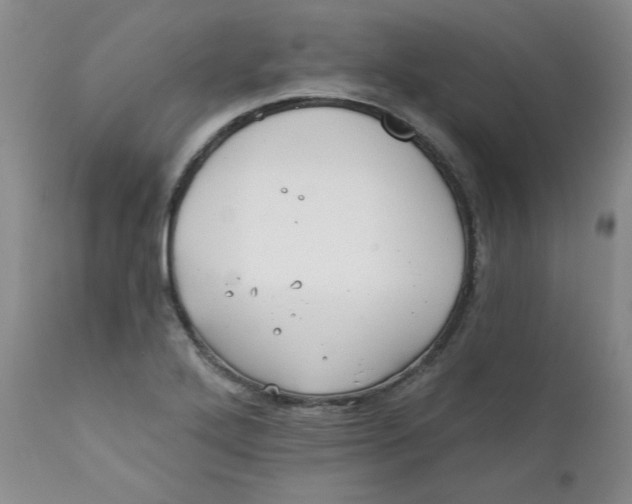 X0000112391272200909101402