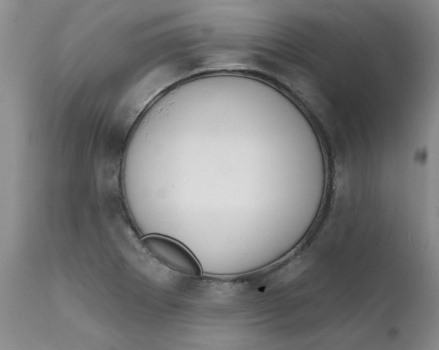 X0000112391273200909101402