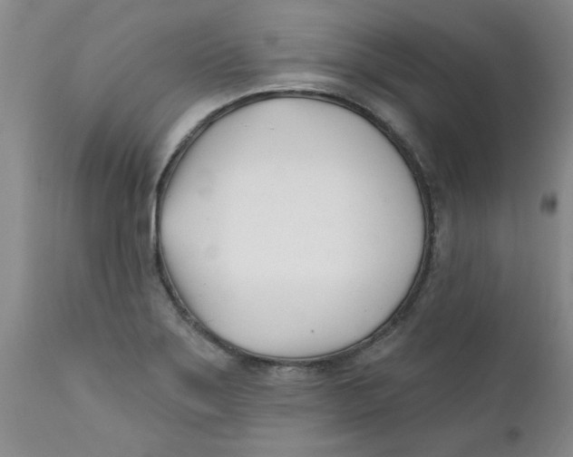 X0000112391275200909101402