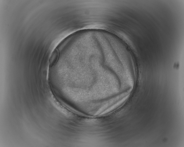 X0000112391276200909101402