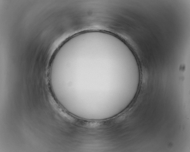 X0000112391278200909101402