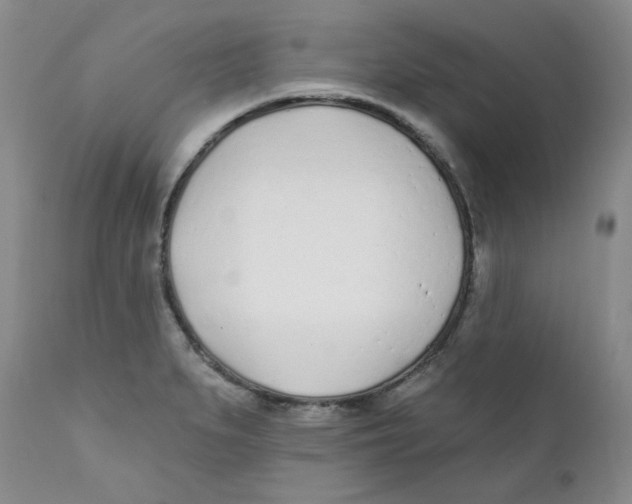 X0000112391279200909101402