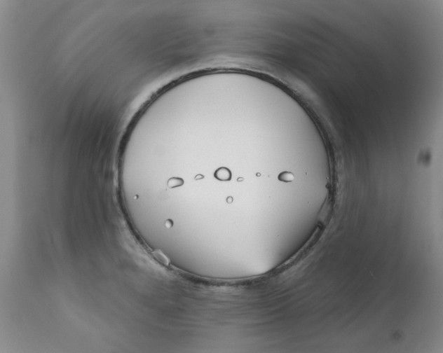 X0000112391280200909101402