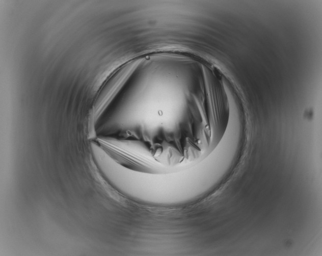 X0000112391281200909101402