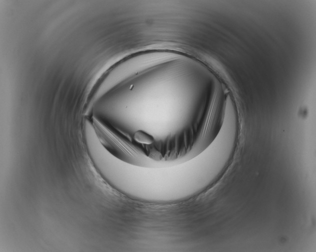 X0000112391284200909101402