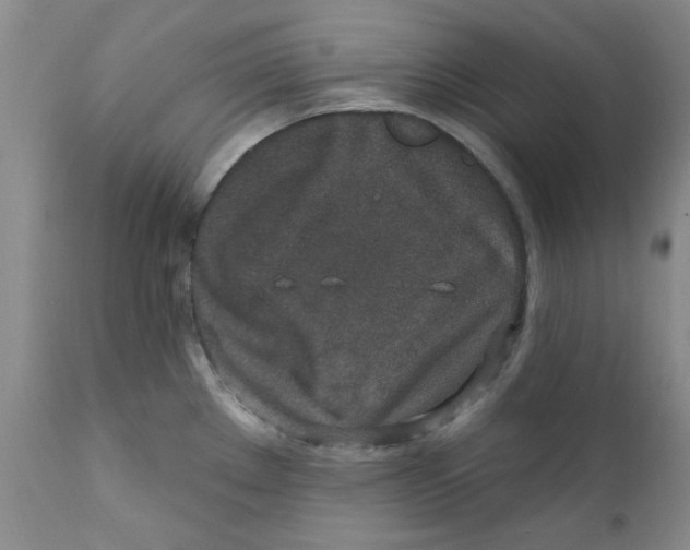X0000112391289200909101402