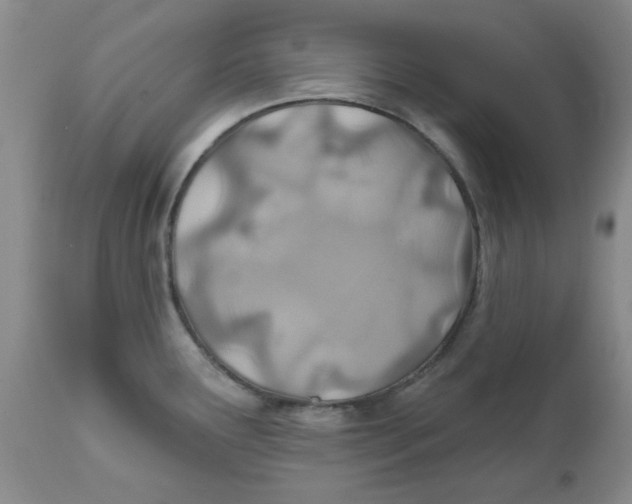 X0000112391291200909101402