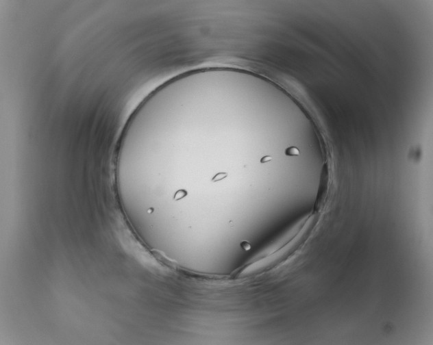 X0000112391292200909101402