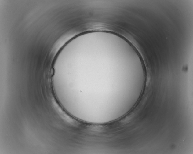X0000112391293200909101402