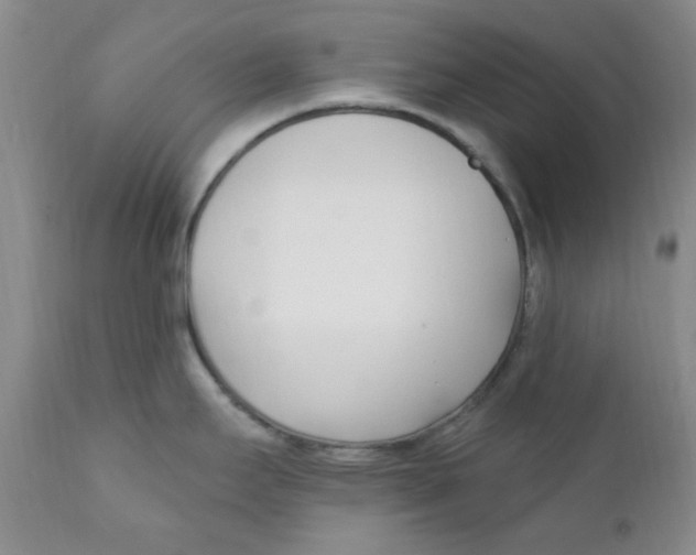 X0000112391295200909101402