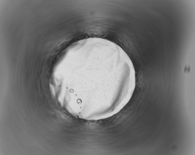 X0000112391297200909101401