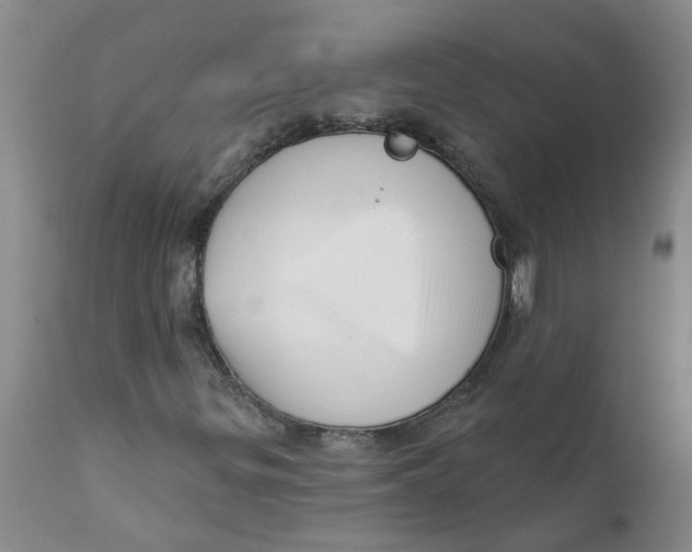X0000112391299200909101401