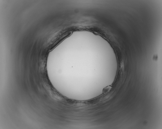 X0000112391300200909101401