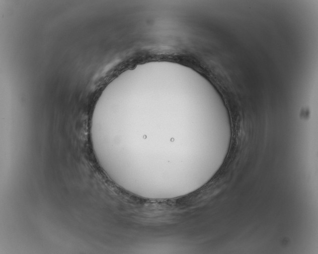 X0000112391301200909101401