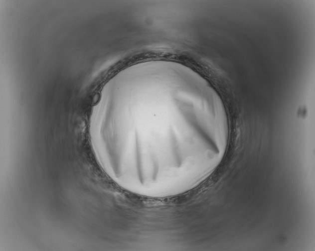 X0000112391302200909101401
