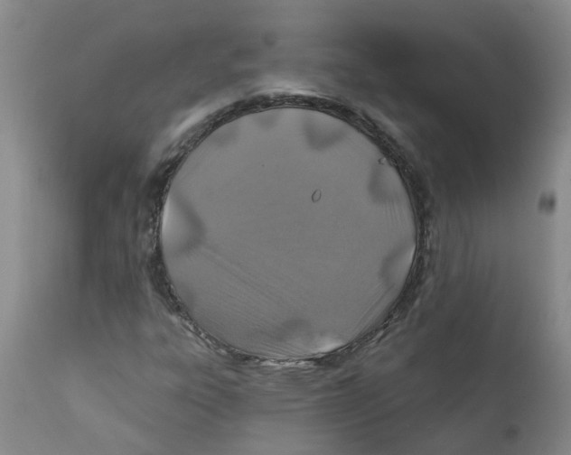 X0000112391303200909101401