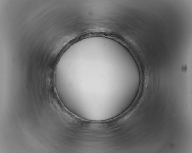 X0000112391305200909101401