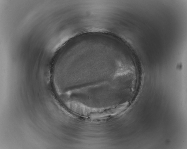 X0000112391306200909101401