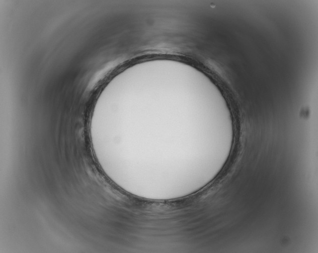 X0000112391307200909101401