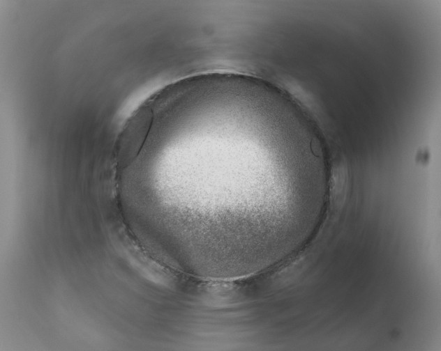 X0000112391310200909101401